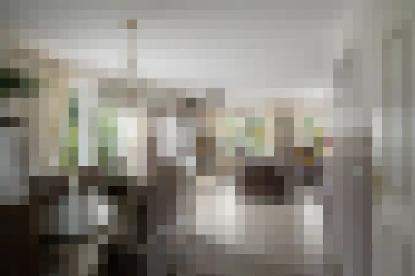 Korenmaaier 5 Goudswaard thumbnail 10