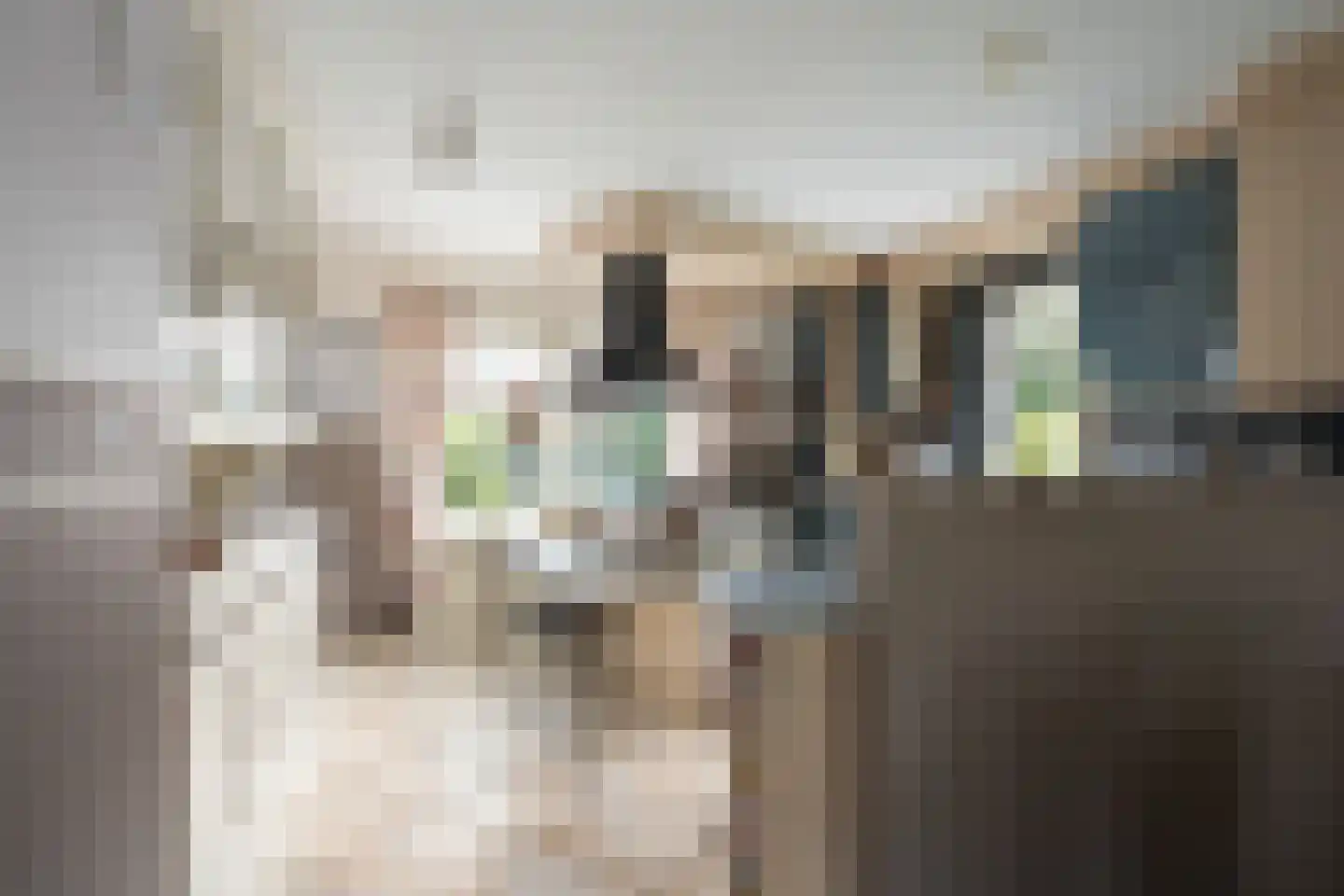 Korenmaaier 5 Goudswaard thumbnail 11