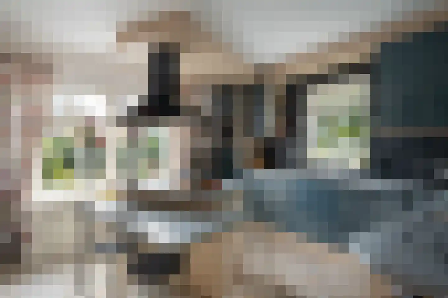 Korenmaaier 5 Goudswaard thumbnail 12