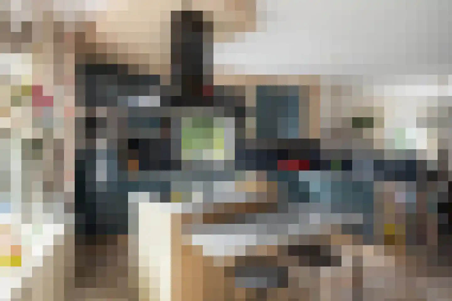 Korenmaaier 5 Goudswaard thumbnail 13