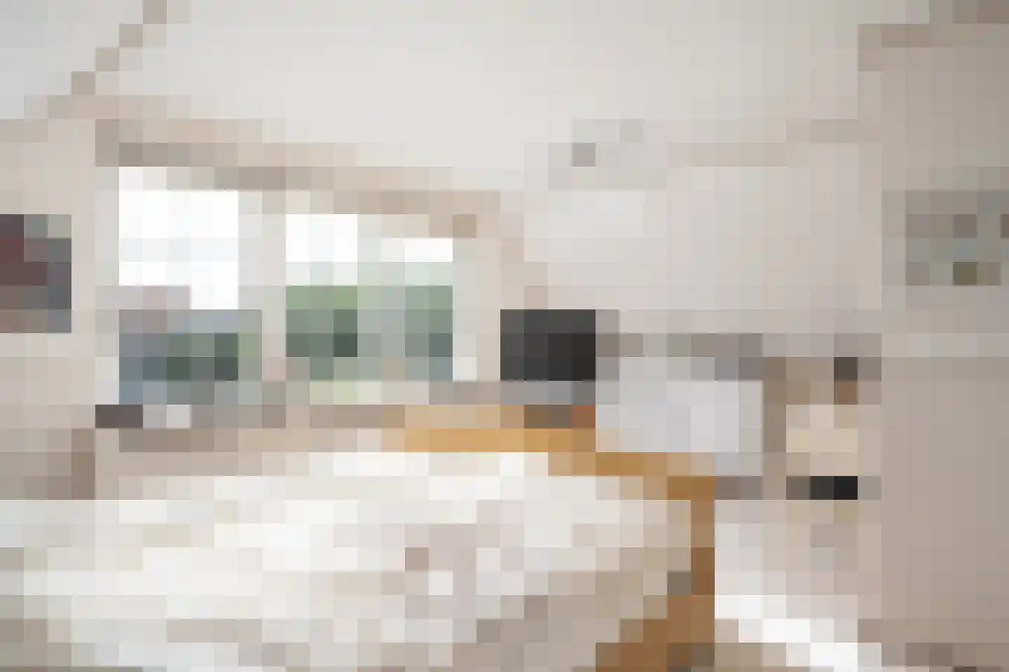 Korenmaaier 5 Goudswaard thumbnail 21
