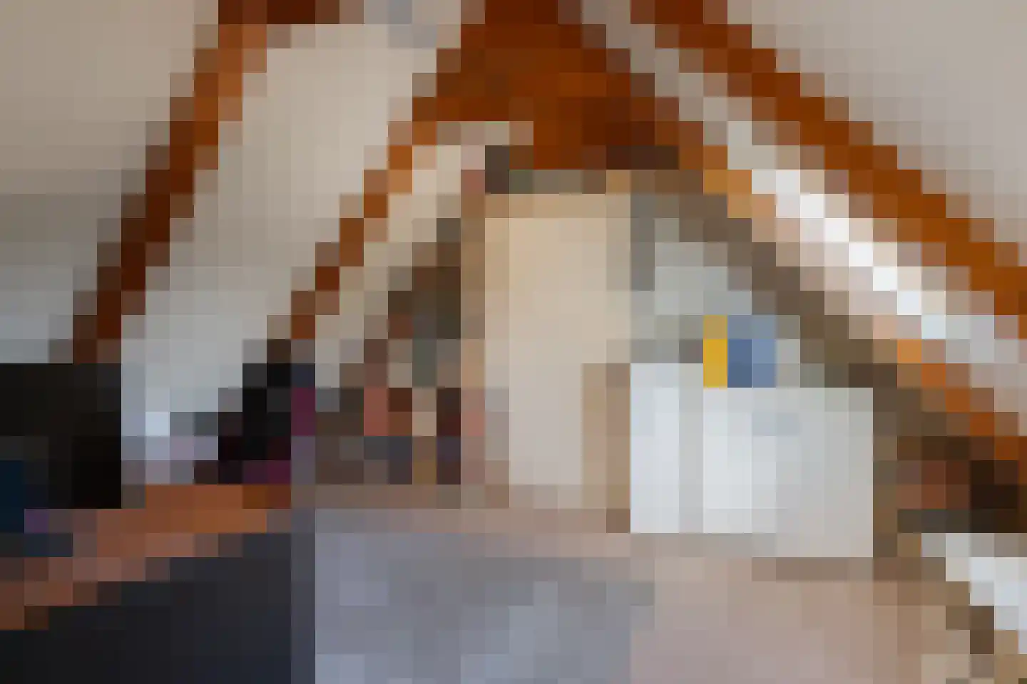 Korenmaaier 5 Goudswaard thumbnail 30
