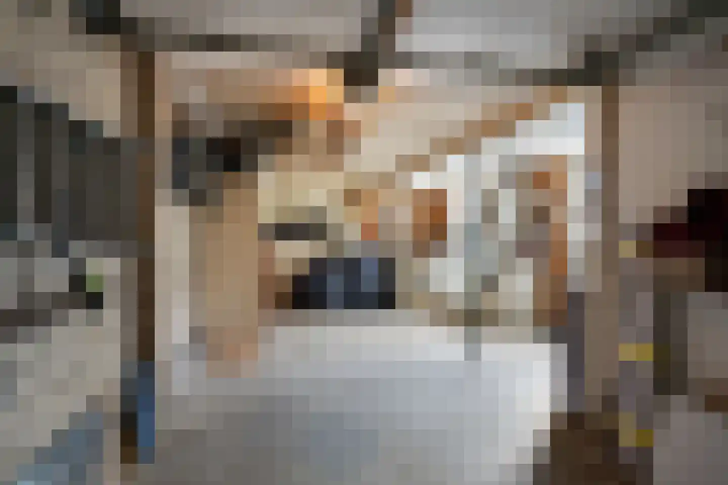 Korenmaaier 5 Goudswaard thumbnail 32