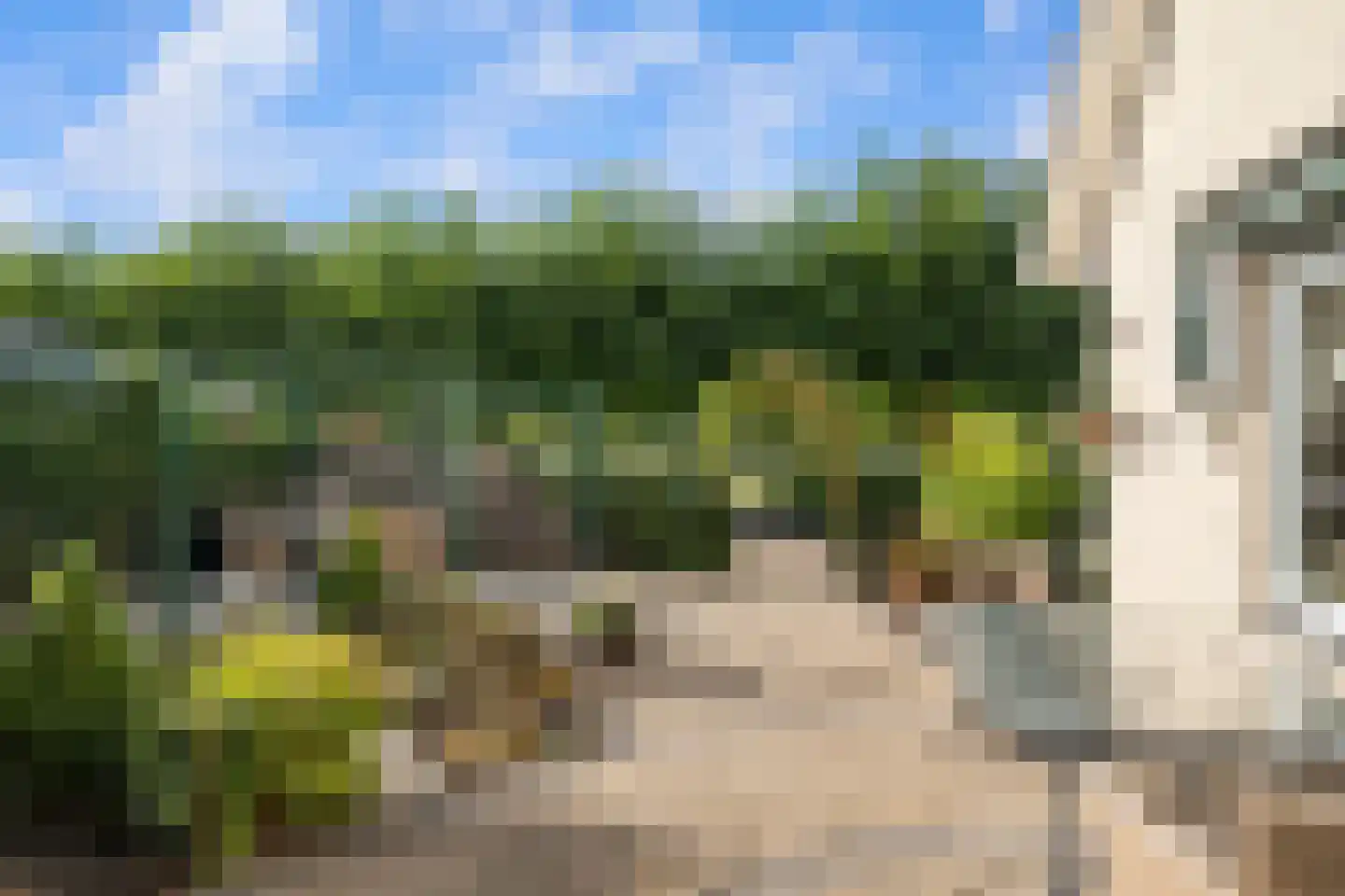 Korenmaaier 5 Goudswaard thumbnail 34