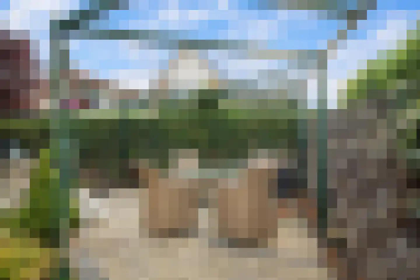 Korenmaaier 5 Goudswaard thumbnail 38