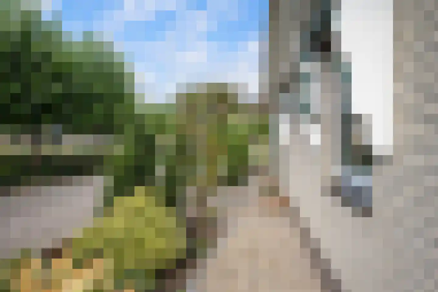 Korenmaaier 5 Goudswaard thumbnail 40
