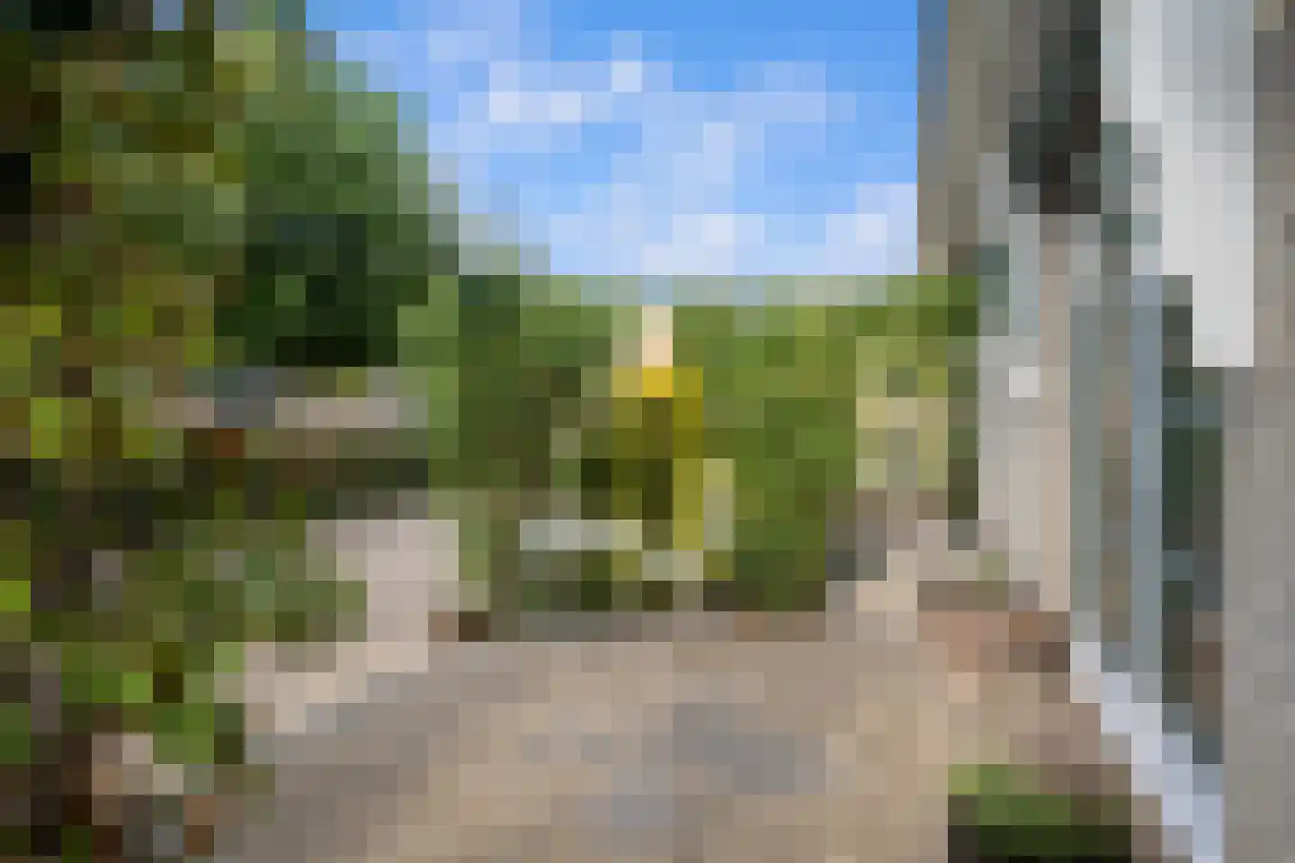Korenmaaier 5 Goudswaard thumbnail 41
