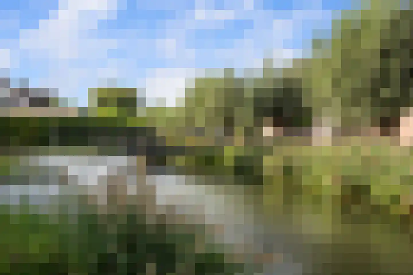 Korenmaaier 5 Goudswaard thumbnail 43