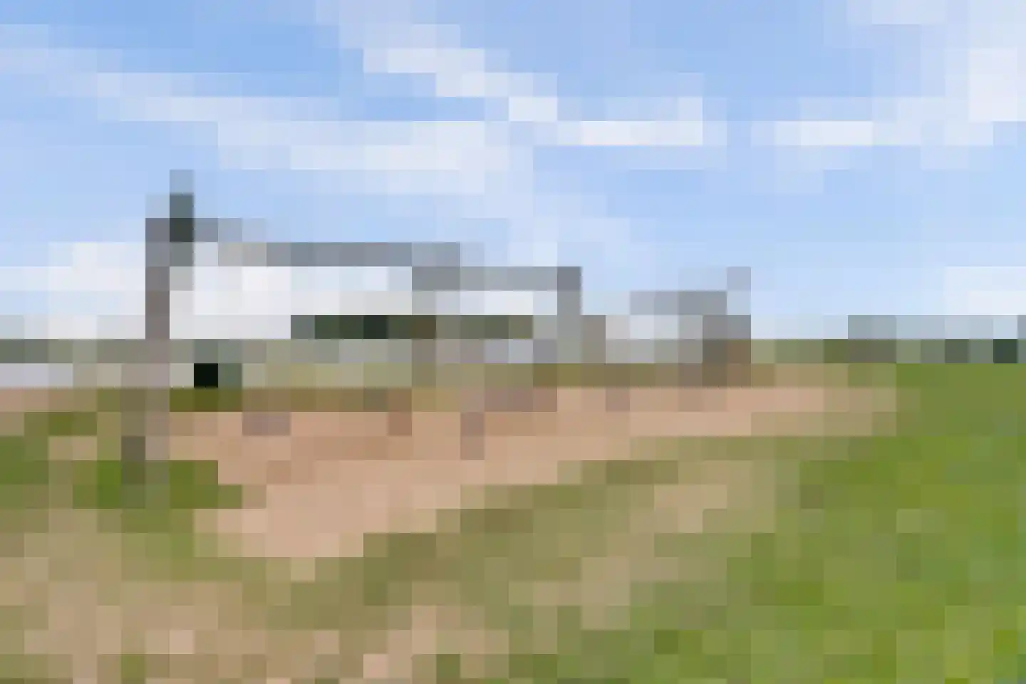 Korenmaaier 5 Goudswaard thumbnail 48