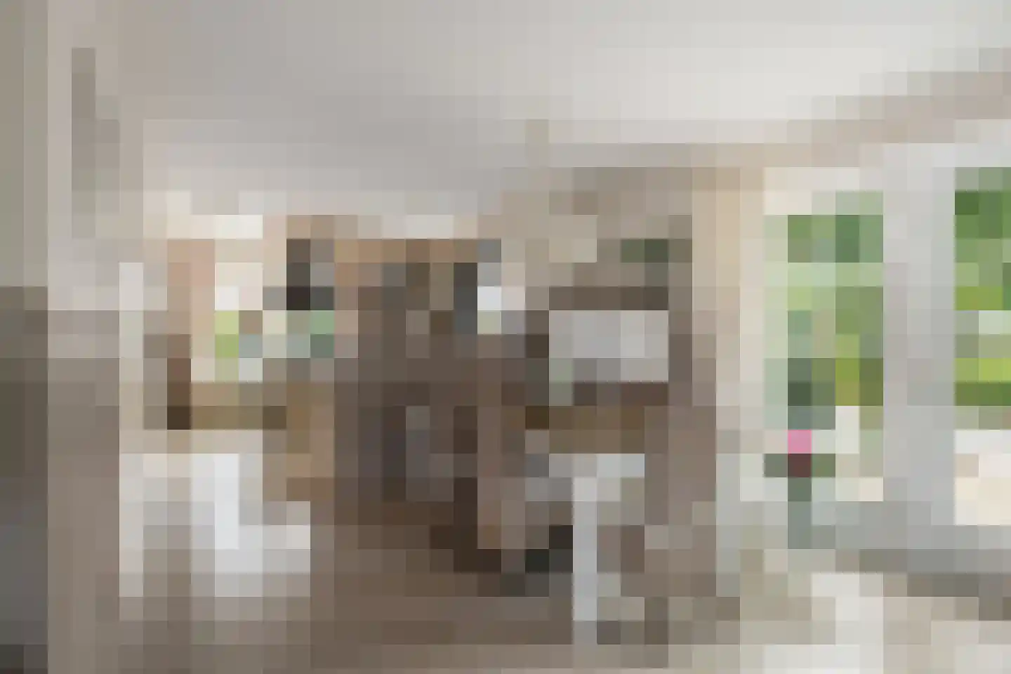 Korenmaaier 5 Goudswaard thumbnail 5