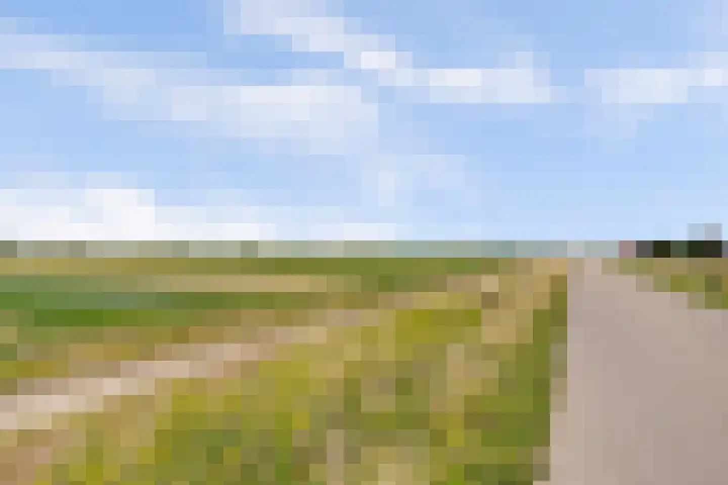 Korenmaaier 5 Goudswaard thumbnail 50