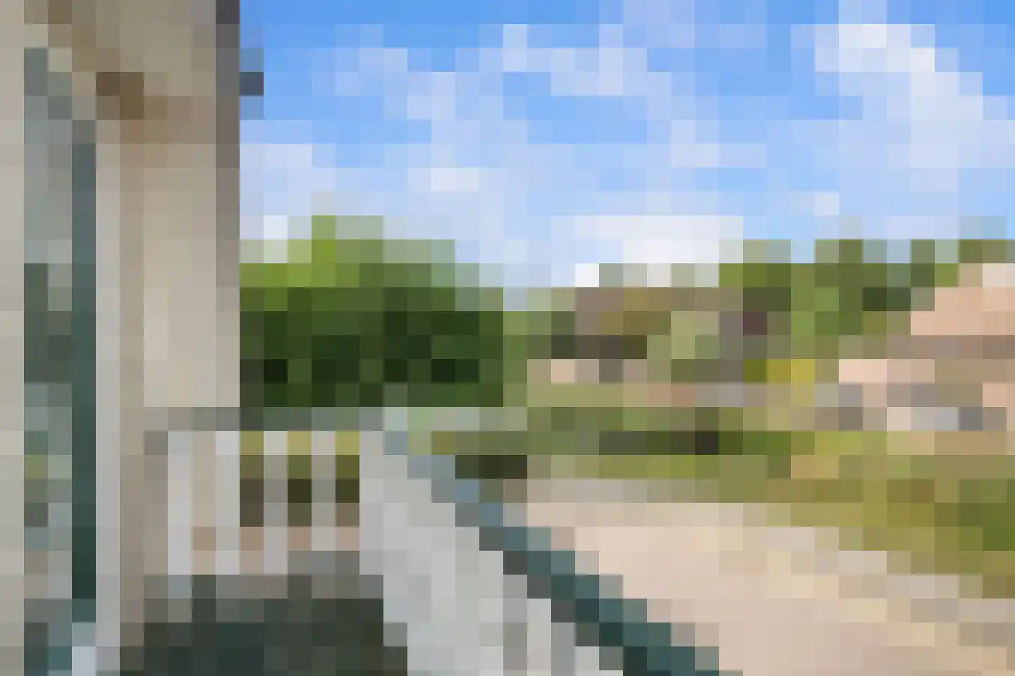 Korenmaaier 5 Goudswaard thumbnail 6