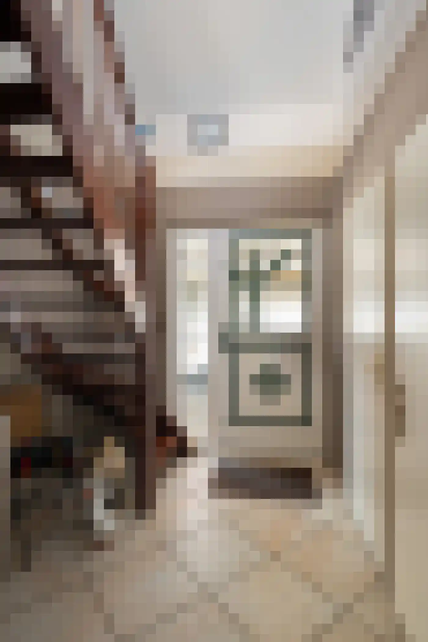Korenmaaier 5 Goudswaard thumbnail 8