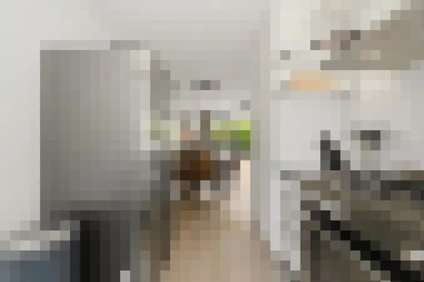 Korenmaat 1 Schipluiden thumbnail 16
