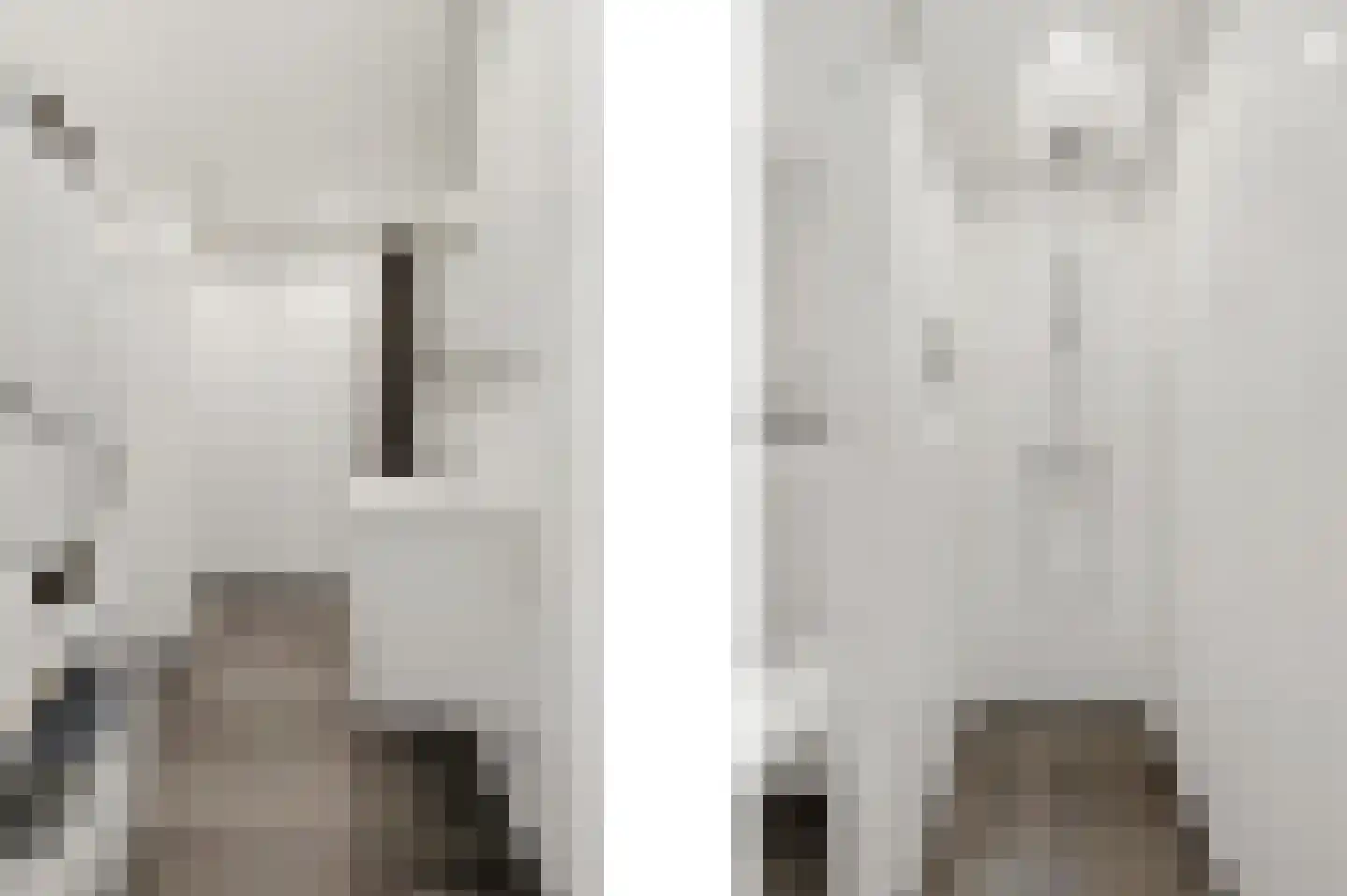 Korenmaat 1 Schipluiden thumbnail 19
