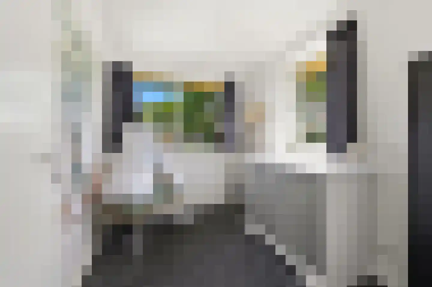 Korenmaat 1 Schipluiden thumbnail 25