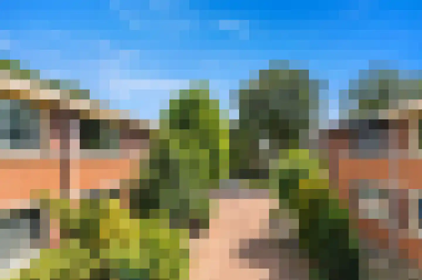 Korenmaat 1 Schipluiden thumbnail 30