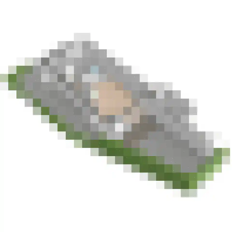 Korenmaat 1 Schipluiden thumbnail 50