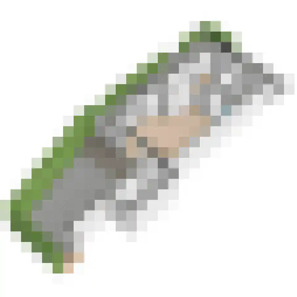 Korenmaat 1 Schipluiden thumbnail 51