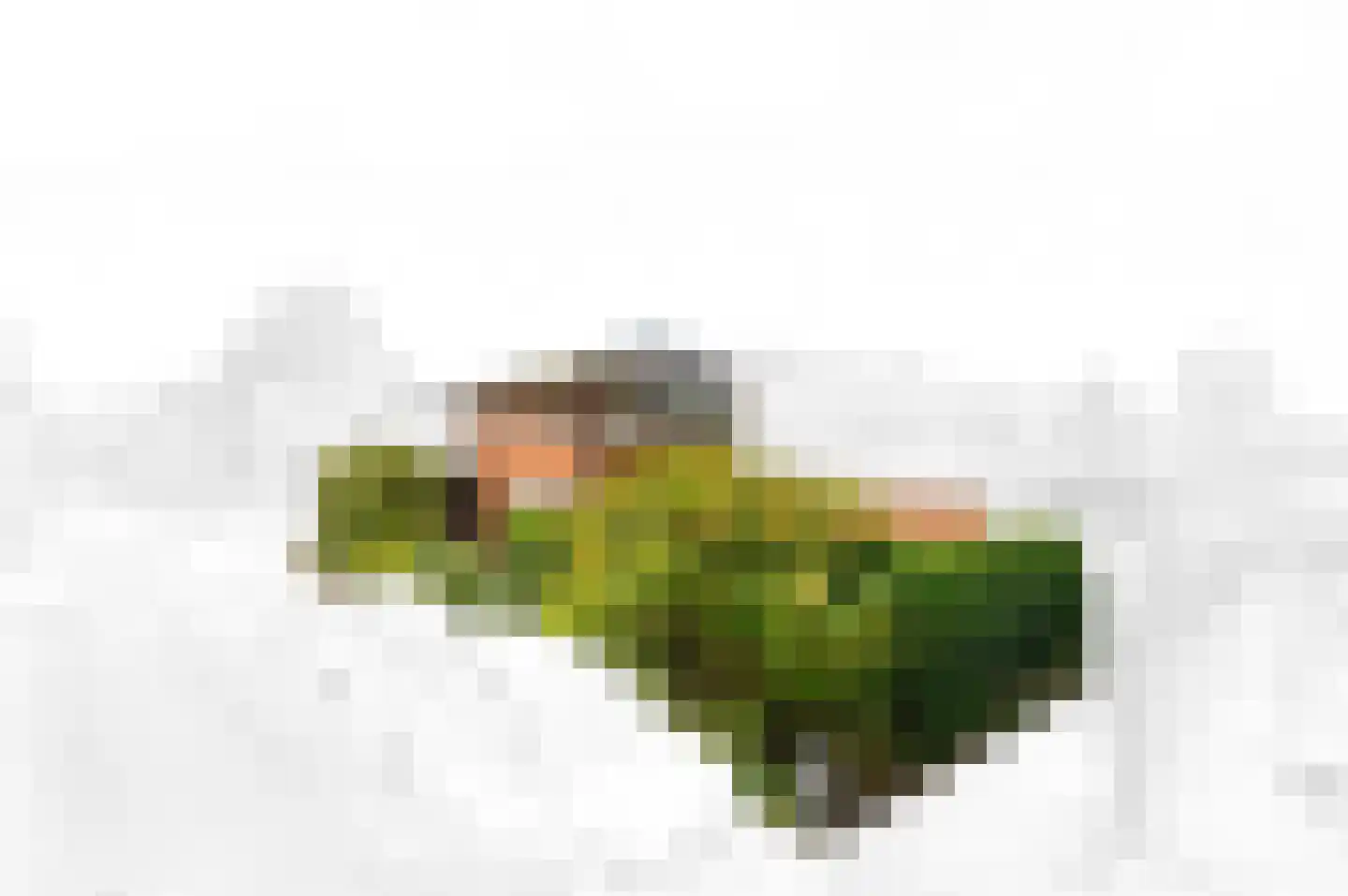 Korenmaat 1 Schipluiden thumbnail 6