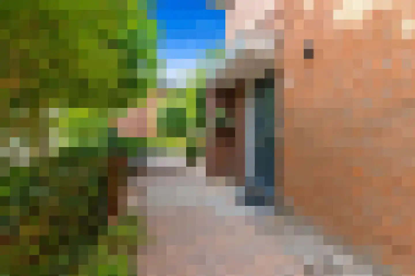 Korenmaat 1 Schipluiden thumbnail 8