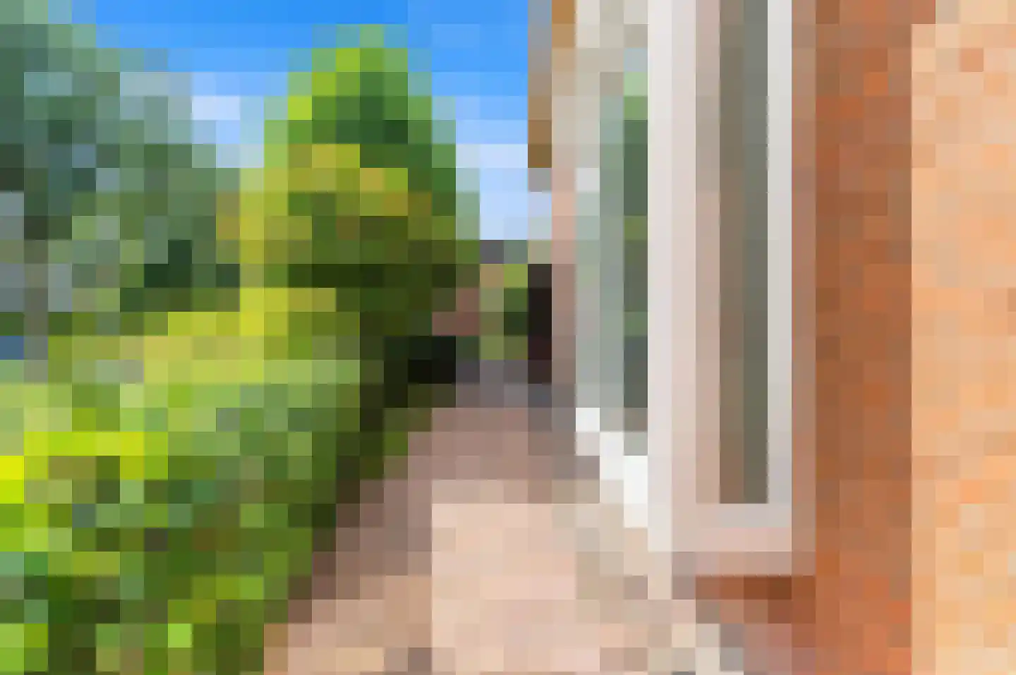Korenmaat 1 Schipluiden thumbnail 9
