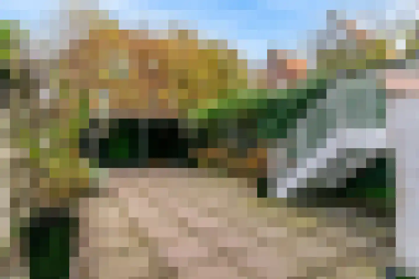 Korenmarkt 15 Hoorn thumbnail 54