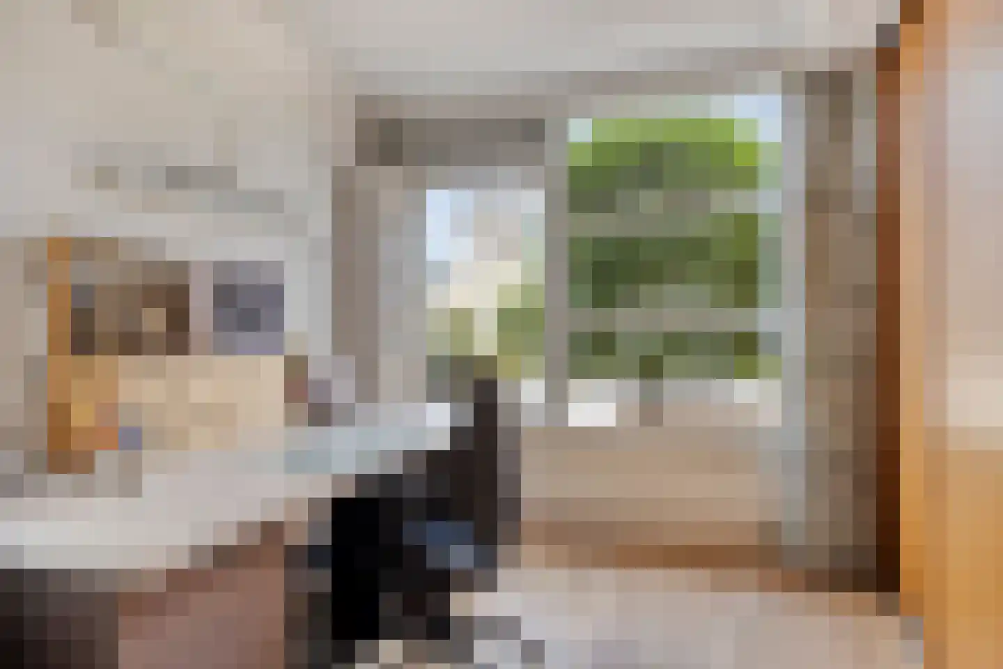 Korenmijt 18 Uden thumbnail 15