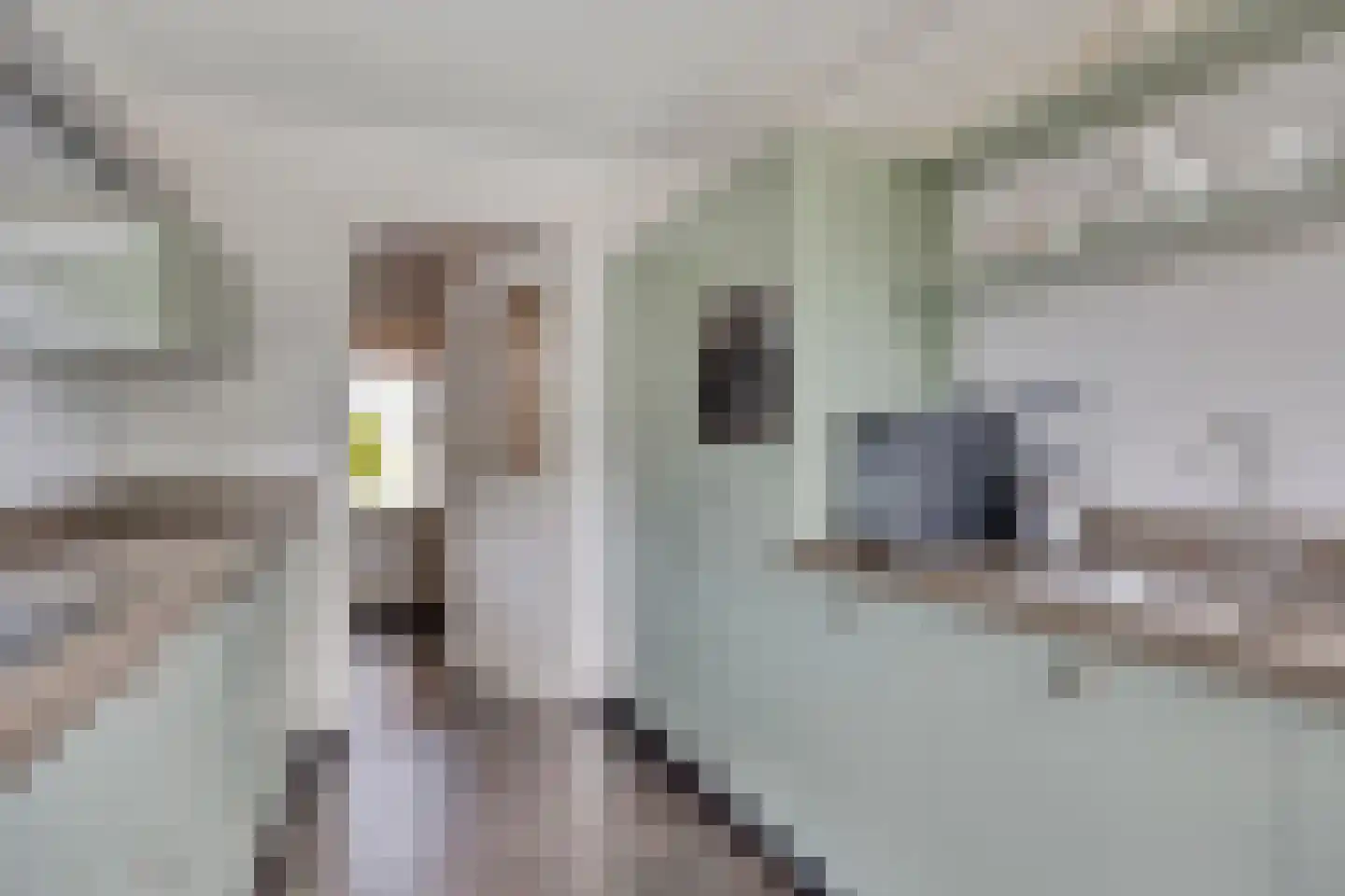 Korenmijt 18 Uden thumbnail 22