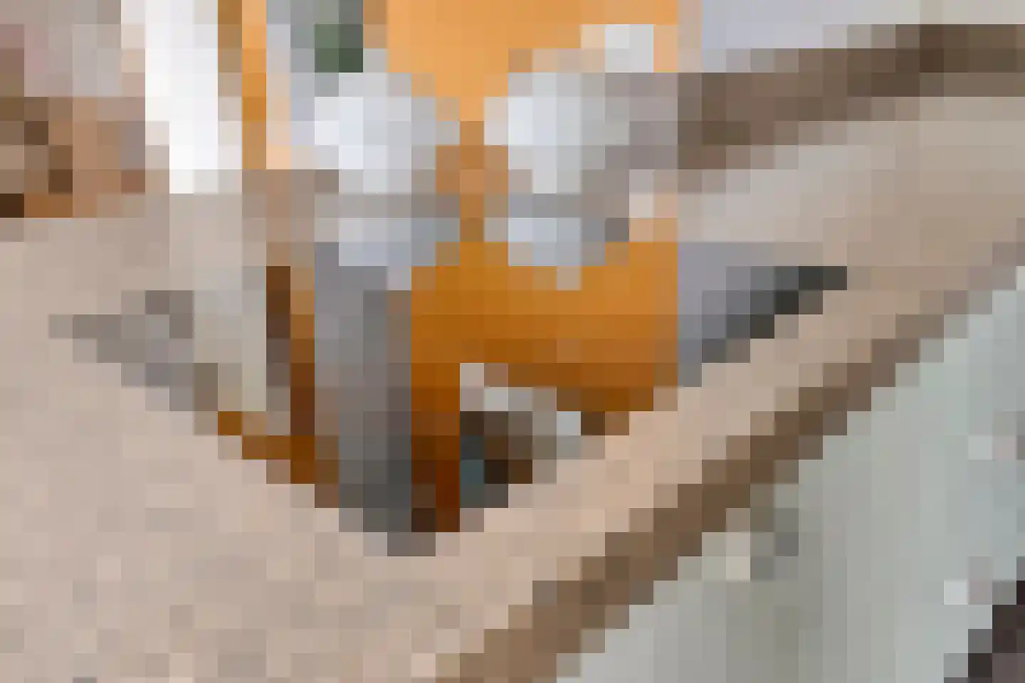 Korenmijt 18 Uden thumbnail 23