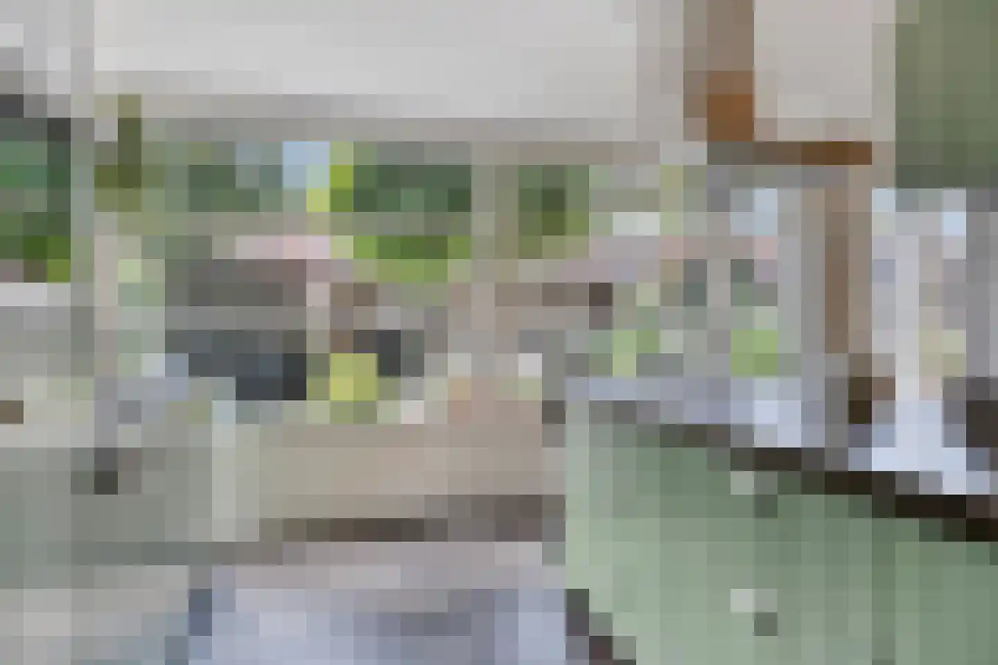 Korenmijt 18 Uden thumbnail 25