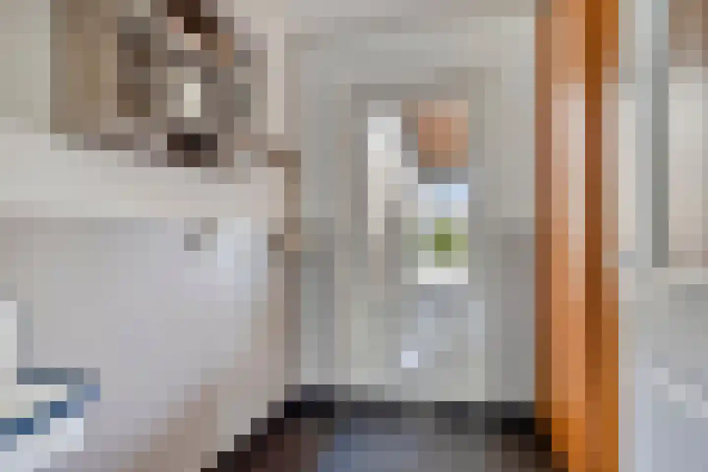 Korenmijt 18 Uden thumbnail 27