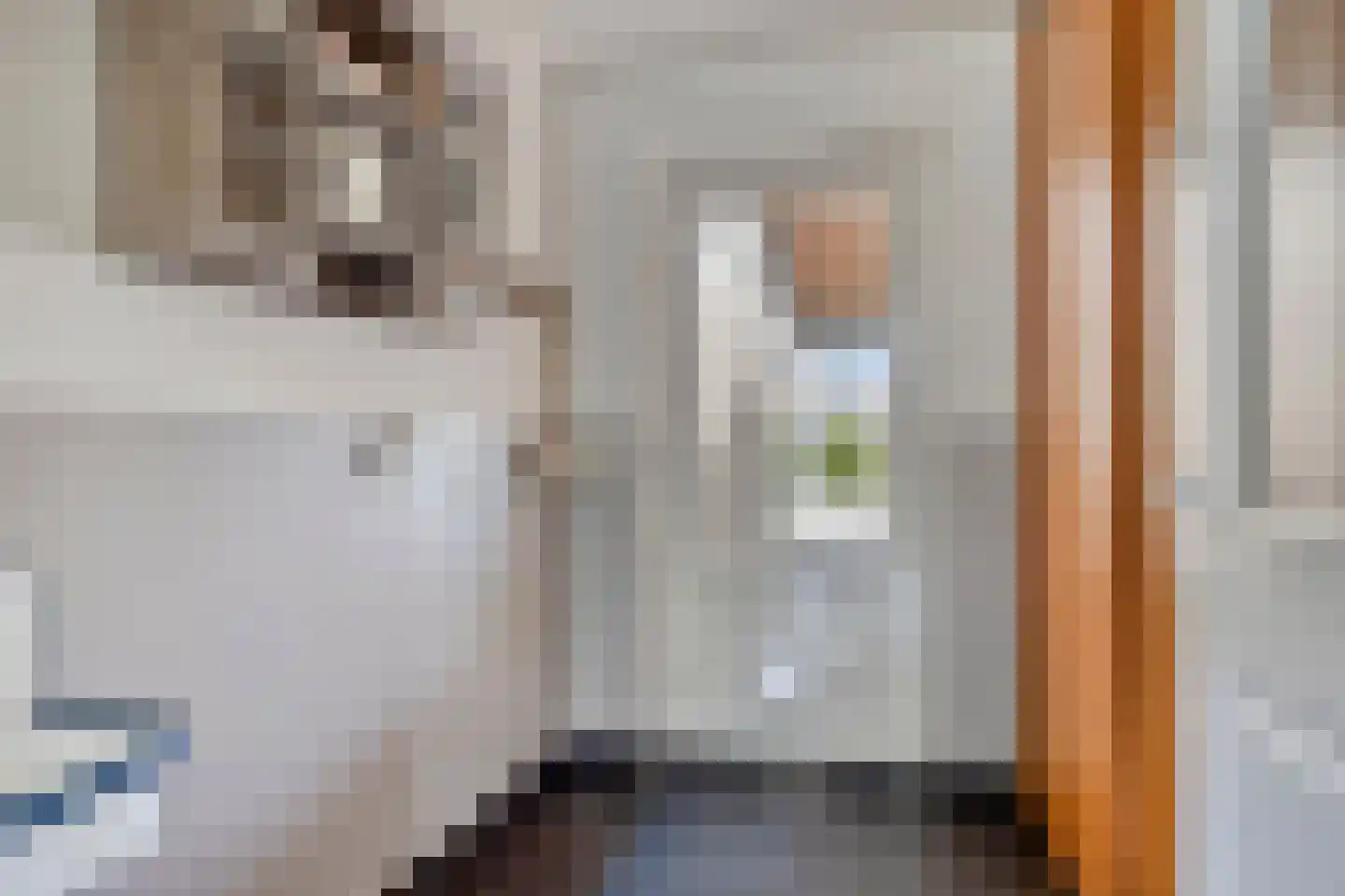 Korenmijt 18 Uden thumbnail 27