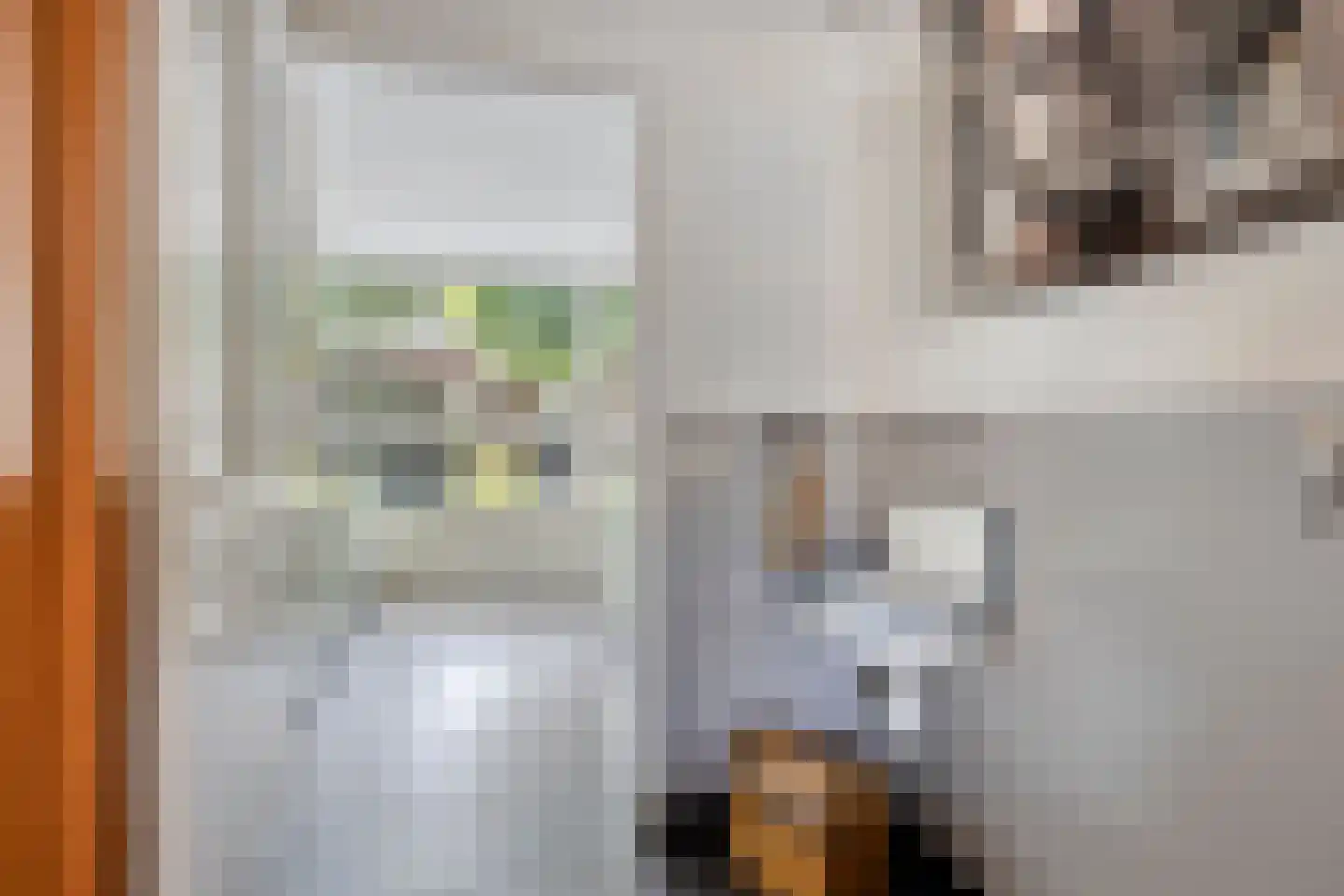 Korenmijt 18 Uden thumbnail 28