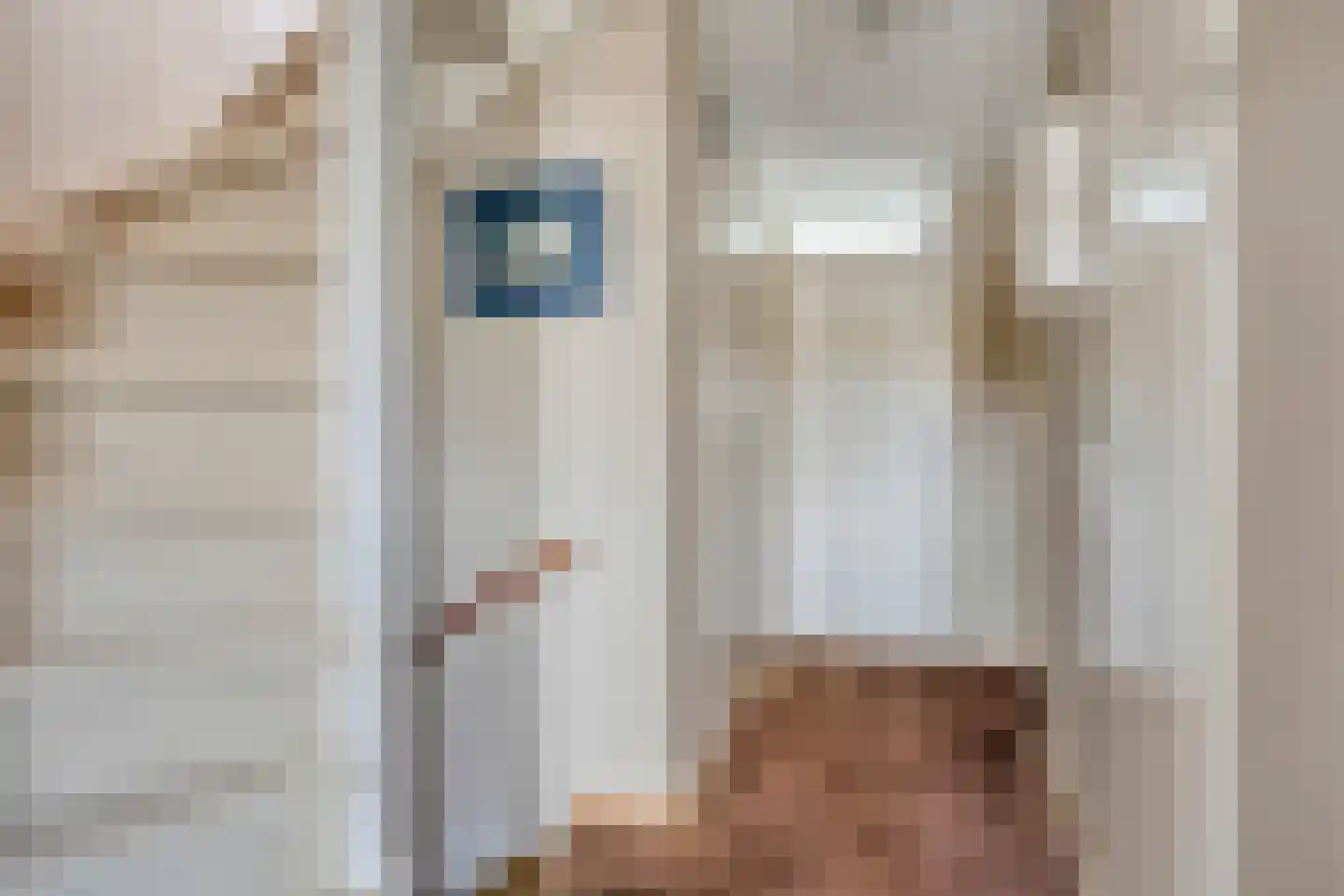 Korenmijt 18 Uden thumbnail 30