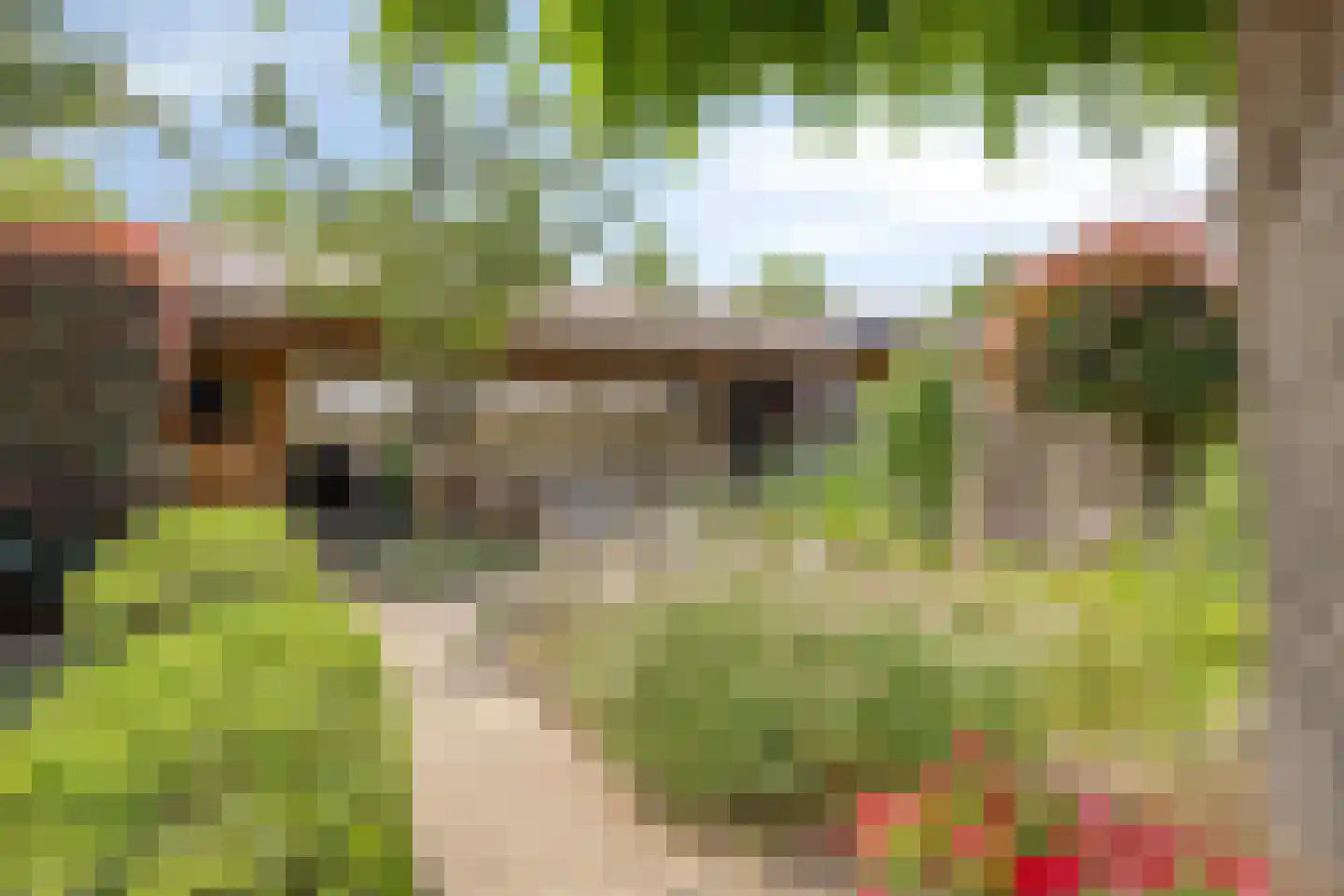 Korenmijt 18 Uden thumbnail 45