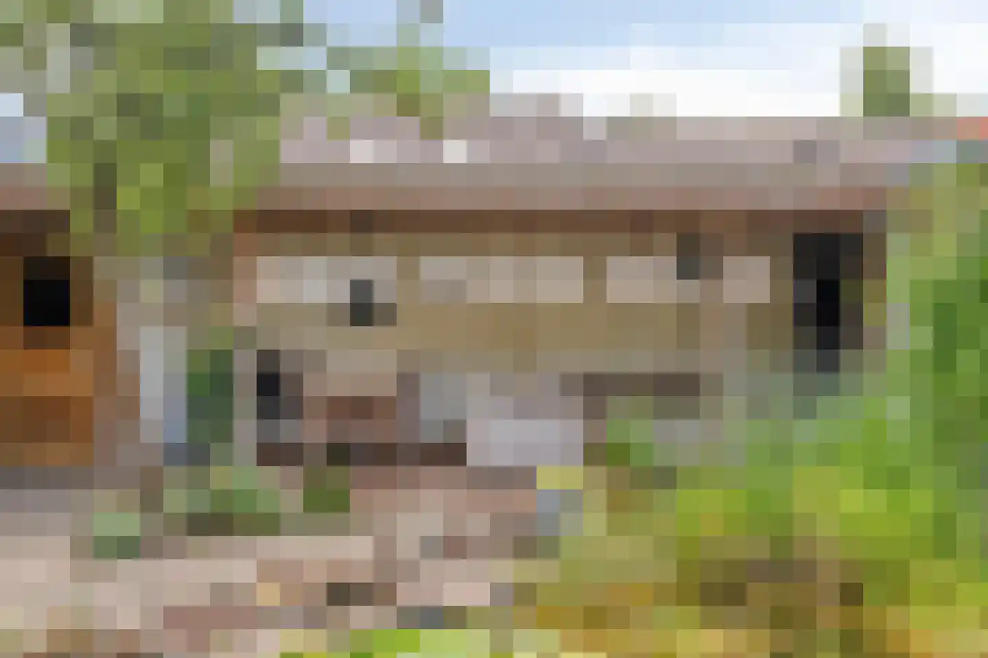 Korenmijt 18 Uden thumbnail 46