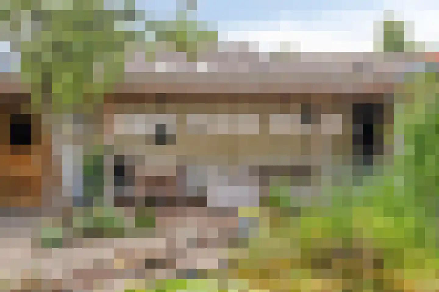 Korenmijt 18 Uden thumbnail 46