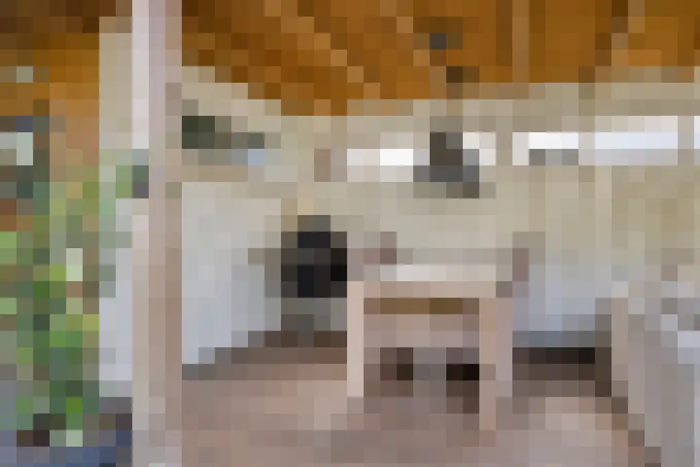Korenmijt 18 Uden thumbnail 48