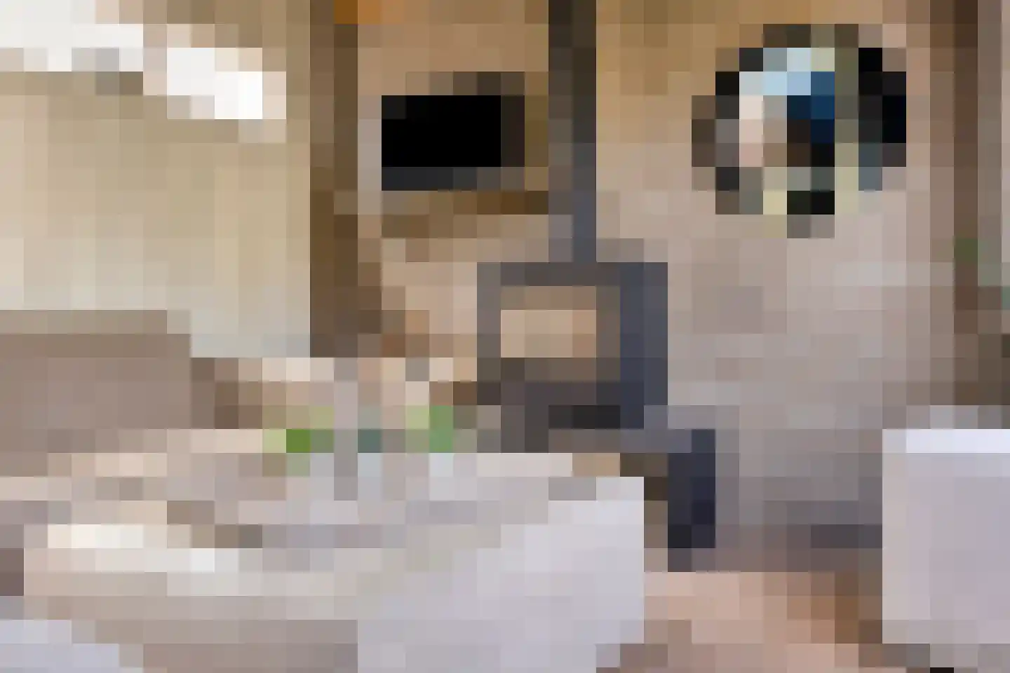 Korenmijt 18 Uden thumbnail 49
