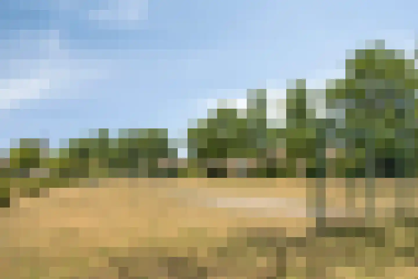 Korenmijt 18 Uden thumbnail 51