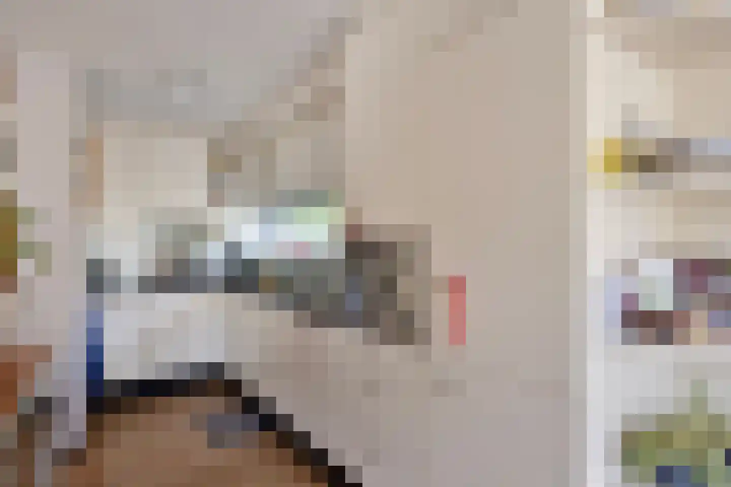 Korenmijt 2 Uden thumbnail 13