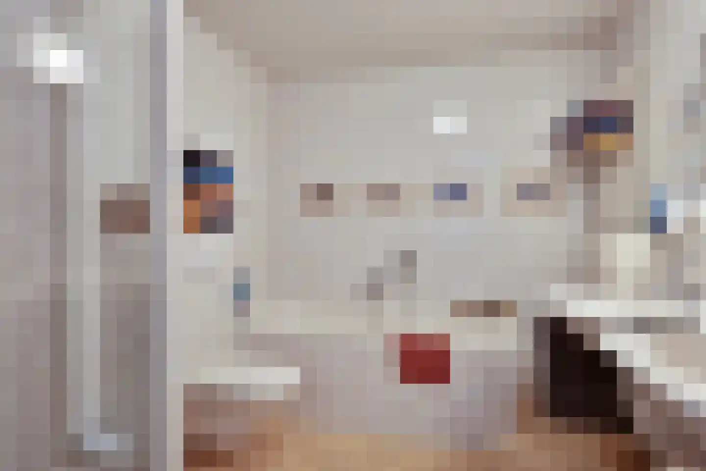 Korenmijt 2 Uden thumbnail 21