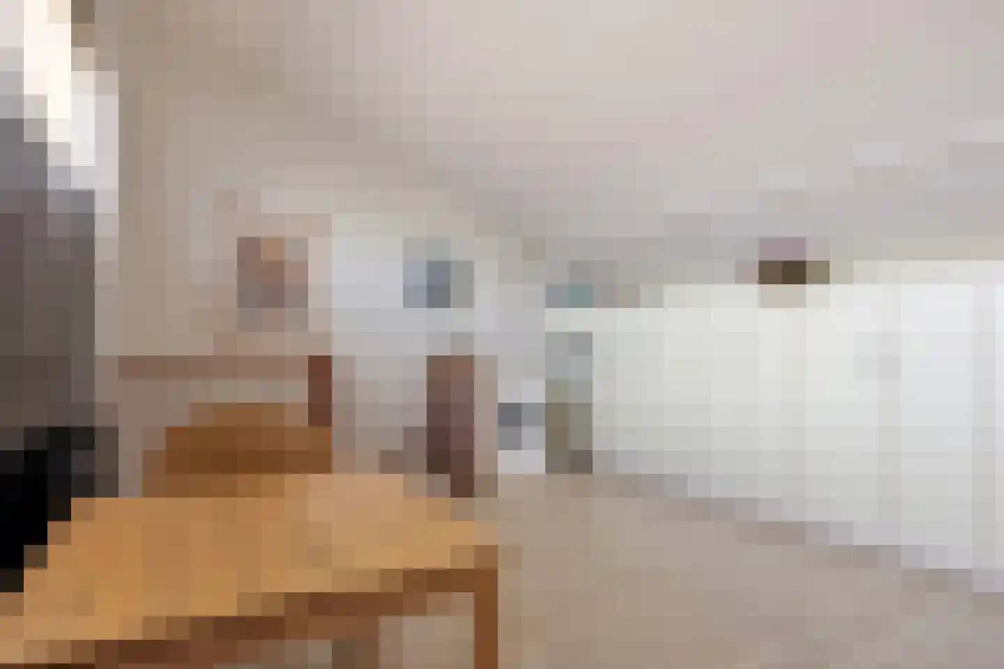 Korenmijt 2 Uden thumbnail 23