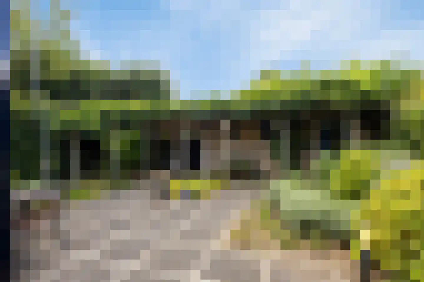 Korenmijt 2 Uden thumbnail 29