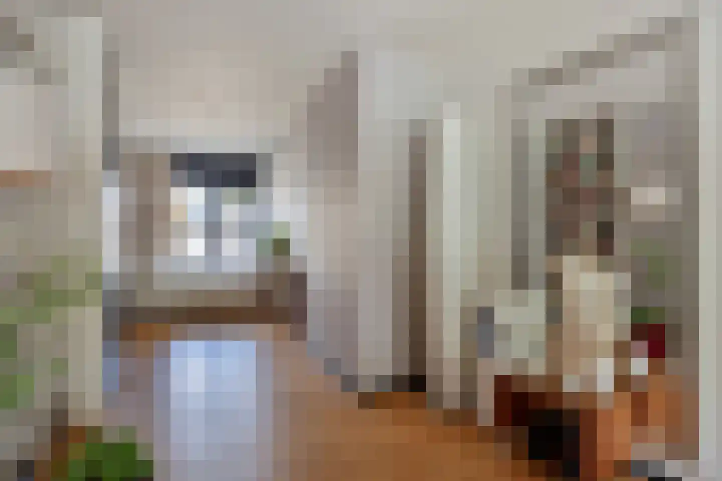 Korenmijt 2 Uden thumbnail 8