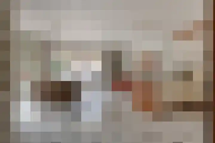 Korenmijt 27 Uden thumbnail 11