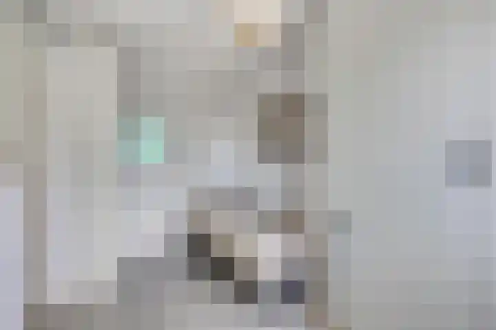 Korenmijt 27 Uden thumbnail 20
