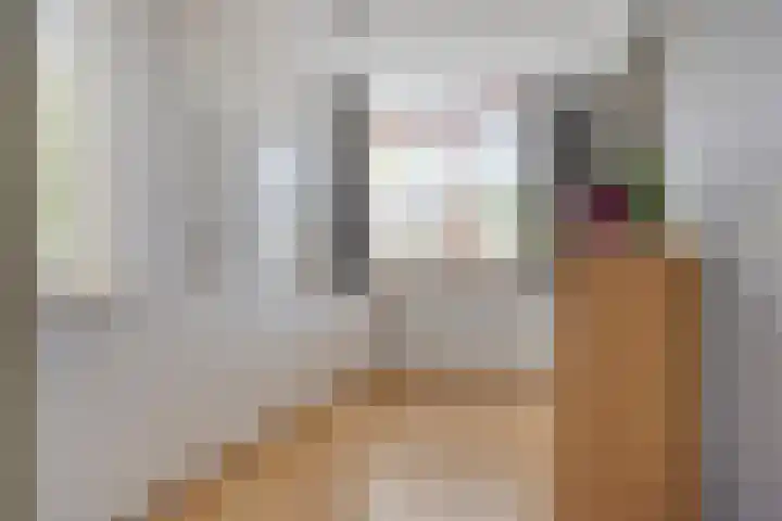 Korenmijt 27 Uden thumbnail 21