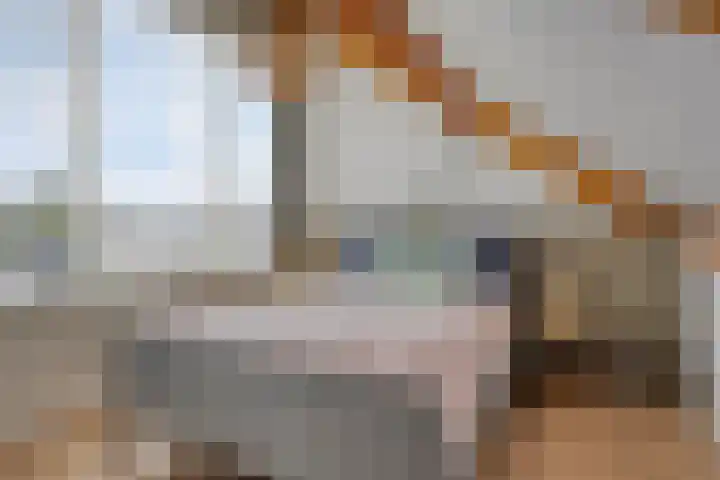 Korenmijt 27 Uden thumbnail 22